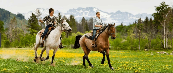 Confident plus-size woman riding Skegness a horse through a field with a smile on her face.